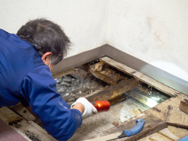 Best Crawl Space Mold Removal  in Tonganoxie, KS