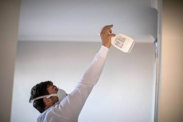 Best Mold Remediation Services  in Tonganoxie, KS