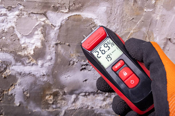 Best Mold Removal Specialists  in Tonganoxie, KS