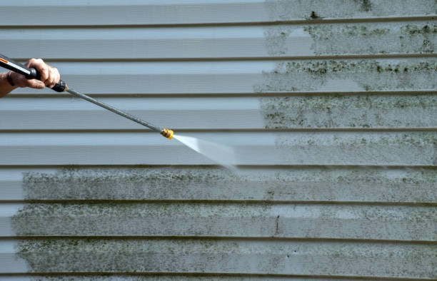 Best Home Mold Removal  in Tonganoxie, KS